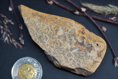 Dendritic Dolomitic Limestone, 90 mm x 40 mm Slab, from Saskatchewan, Canada