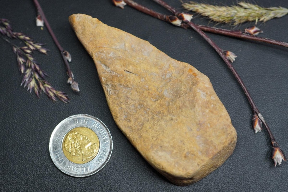 Dendritic Dolomitic Limestone, 90 mm x 40 mm Slab, from Saskatchewan, Canada