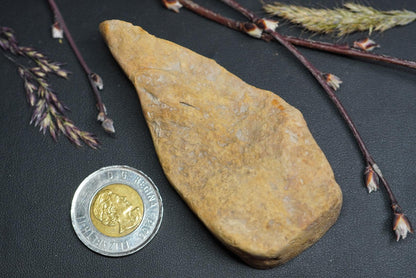 Dendritic Dolomitic Limestone, 90 mm x 40 mm Slab, from Saskatchewan, Canada