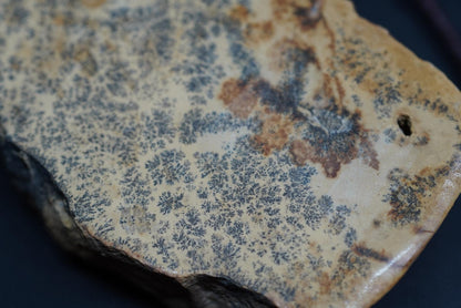 Dendritic Dolomitic Limestone, 90 mm x 40 mm Slab, from Saskatchewan, Canada