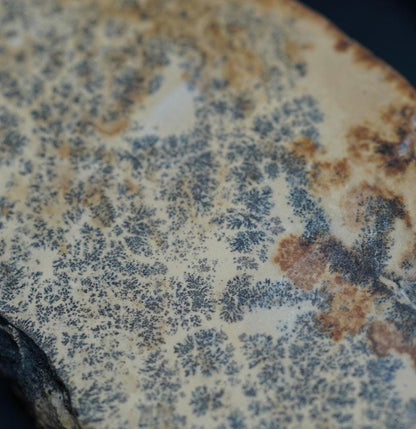 Dendritic Dolomitic Limestone, 90 mm x 40 mm Slab, from Saskatchewan, Canada