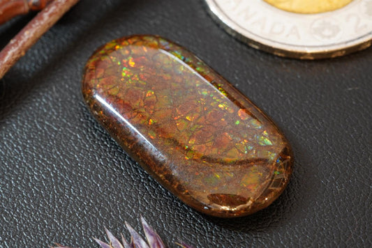 Cabochon d'ammolite, 29 x 15 mm, ovale, de l'Alberta, Canada