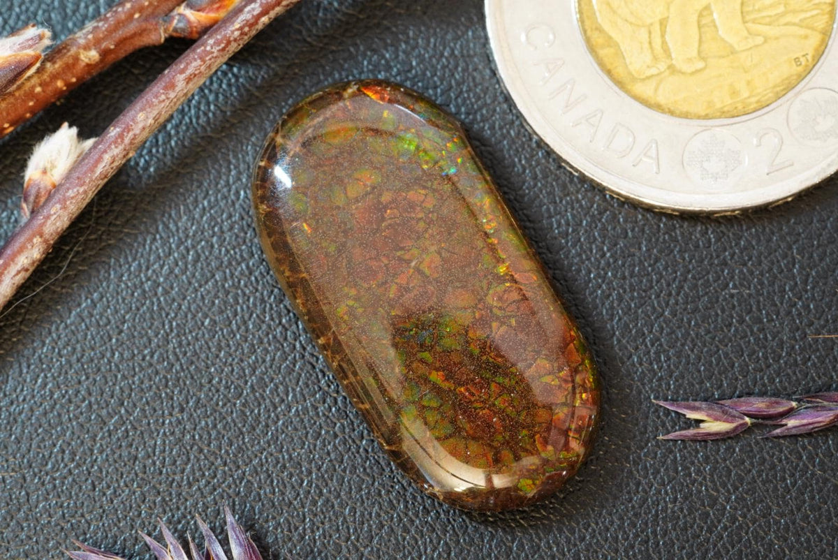 Ammolite Cabochon, 29 x 15 mm, Oval, from Alberta, Canada
