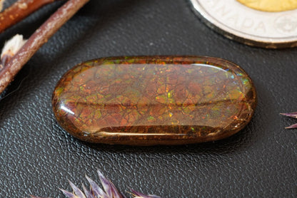 Ammolite Cabochon, 29 x 15 mm, Oval, from Alberta, Canada