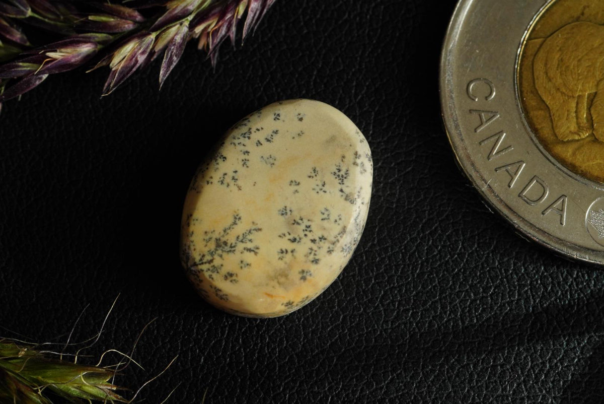 Dendritic Dolomitic Limestone Cabochon, 17 x 13 mm, Handmade Oval, from Saskatchewan, Canada