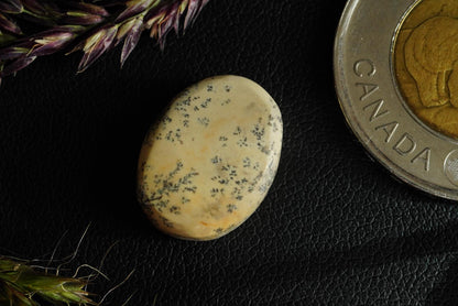 Dendritic Dolomitic Limestone Cabochon, 17 x 13 mm, Handmade Oval, from Saskatchewan, Canada