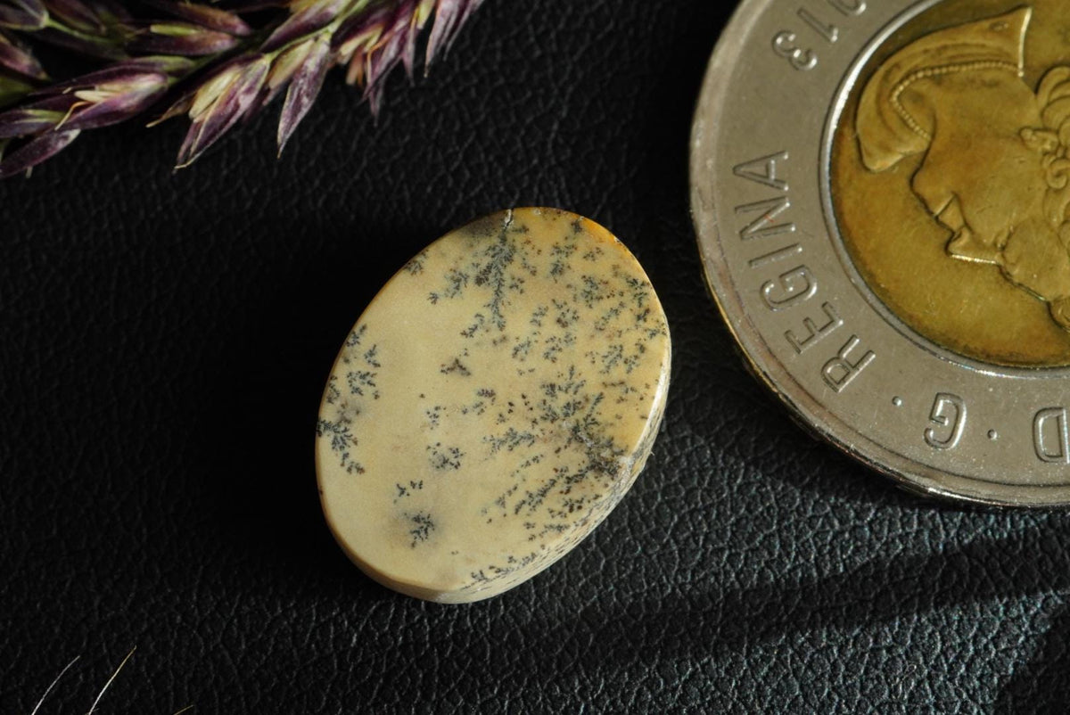 Dendritic Dolomitic Limestone Cabochon, 17 x 13 mm, Handmade Oval, from Saskatchewan, Canada