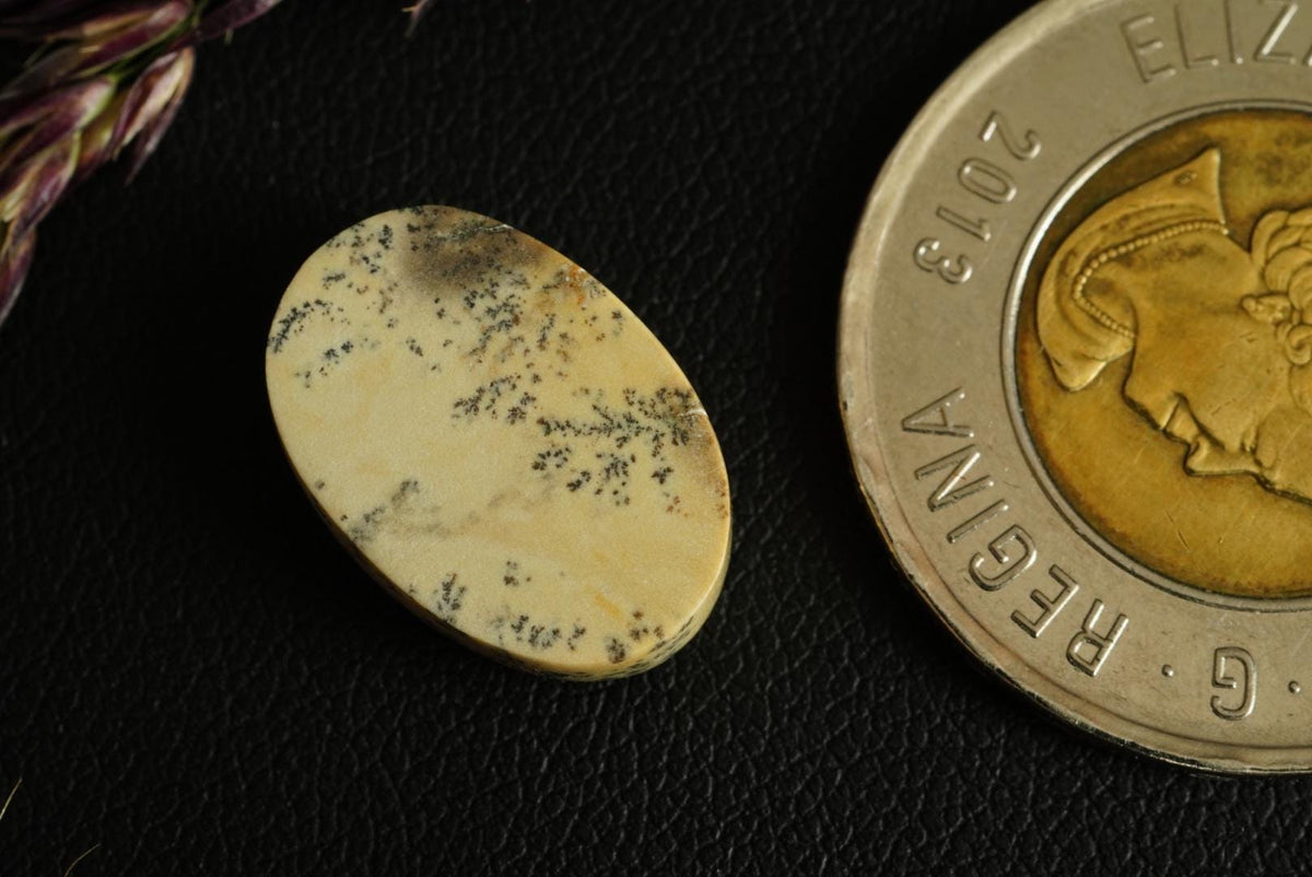 Dendritic Dolomitic Limestone Cabochon, 17 x 12 mm, Handmade Oval, from Saskatchewan, Canada
