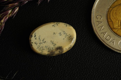 Dendritic Dolomitic Limestone Cabochon, 17 x 12 mm, Handmade Oval, from Saskatchewan, Canada