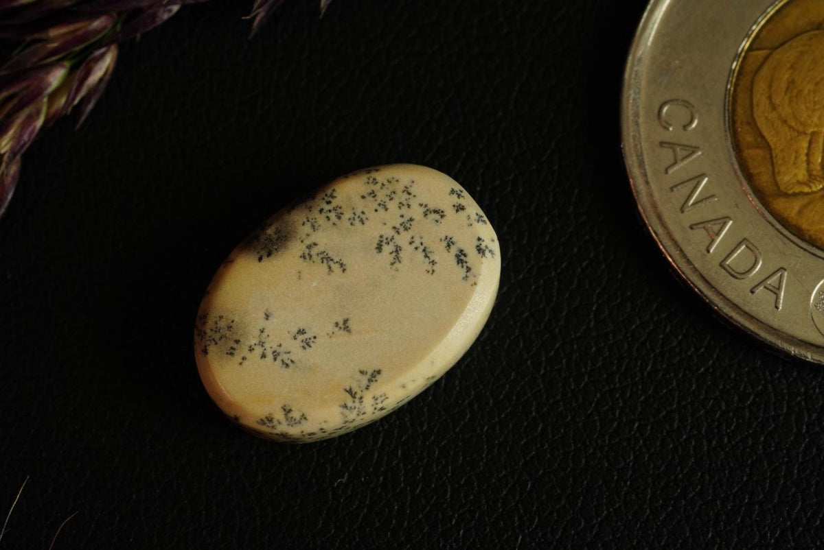Dendritic Dolomitic Limestone Cabochon, 17 x 12 mm, Handmade Oval, from Saskatchewan, Canada