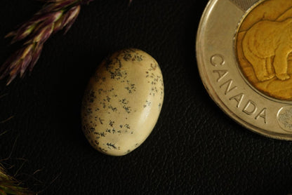 Dendritic Dolomitic Limestone Cabochon, 16 x 11 mm, Handmade Oval, from Saskatchewan, Canada