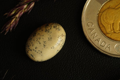 Dendritic Dolomitic Limestone Cabochon, 16 x 11 mm, Handmade Oval, from Saskatchewan, Canada