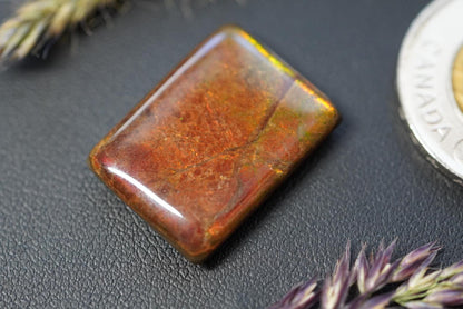 Ammolite Cabochon, 24 x 18 mm, Square, from Alberta, Canada