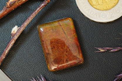 Ammolite Cabochon, 24 x 18 mm, Square, from Alberta, Canada