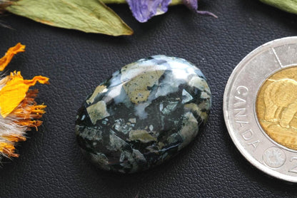 Dallasite Cabochon, 26 x 19 mm, Handmade Oval, from British Columbia, Canada