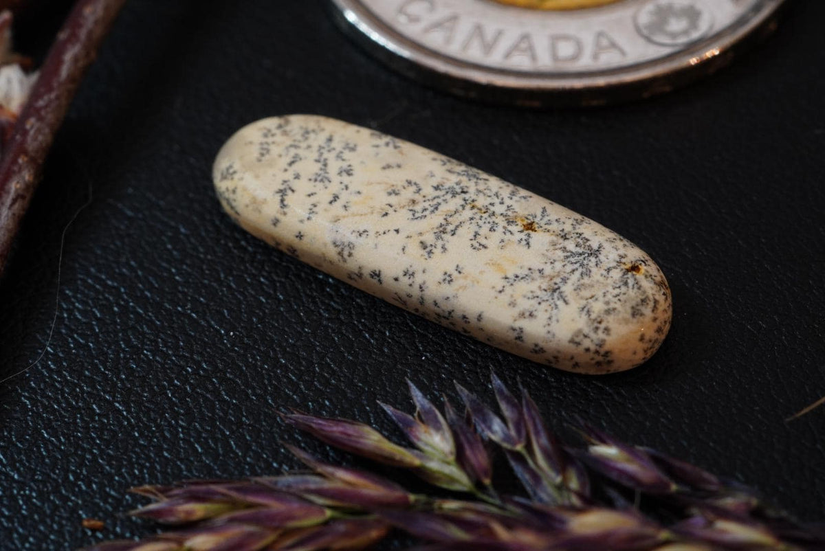 Dendritic Dolomitic Limestone Cabochon, 25 x 8 mm, Handmade Oval, from Saskatchewan, Canada