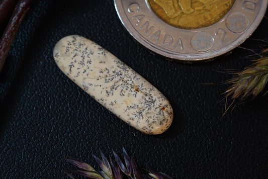 Cabochon en calcaire dolomitique dendritique, 25 x 8 mm, ovale fait main, originaire de Saskatchewan, Canada