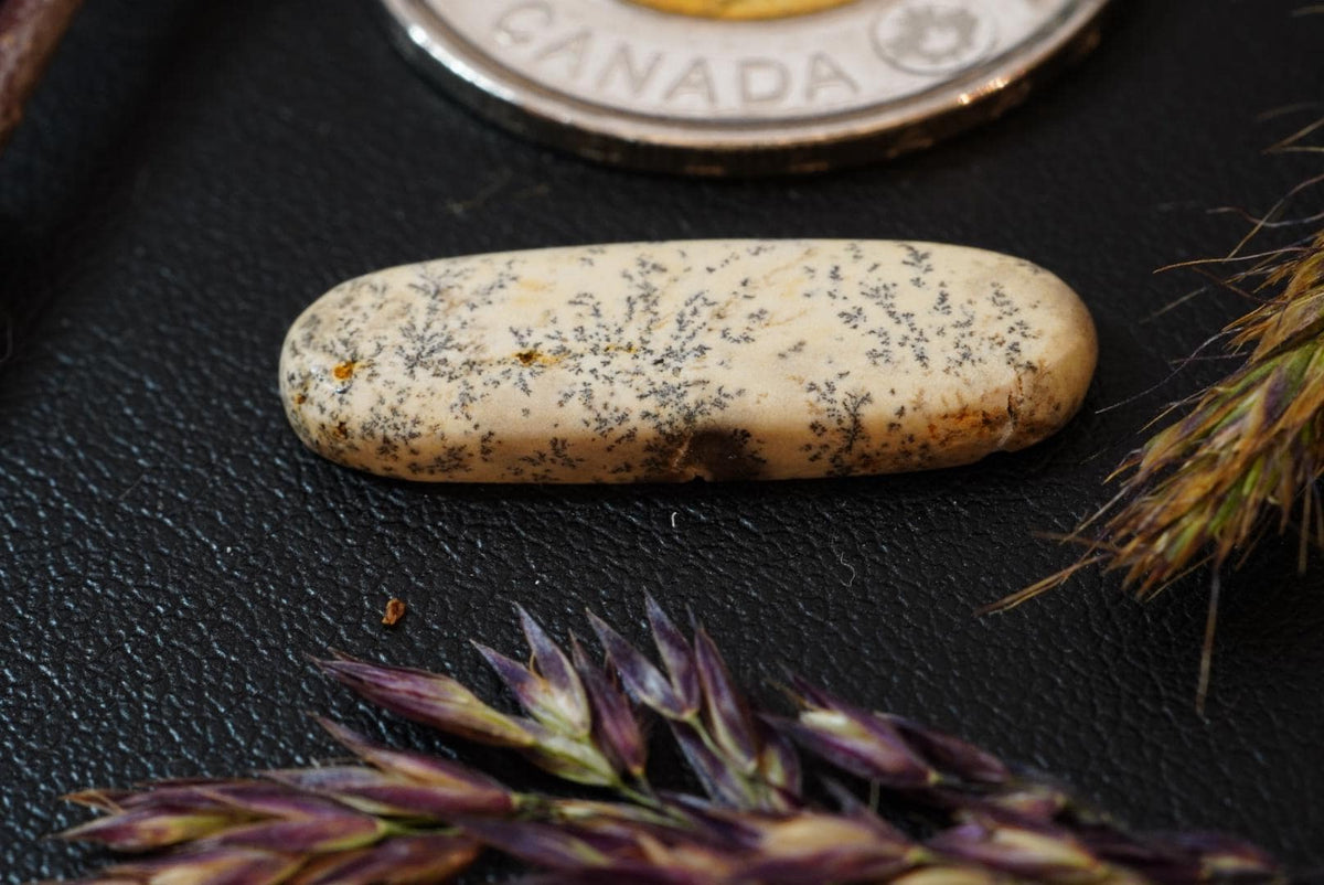 Dendritic Dolomitic Limestone Cabochon, 25 x 8 mm, Handmade Oval, from Saskatchewan, Canada
