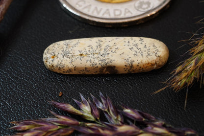 Dendritic Dolomitic Limestone Cabochon, 25 x 8 mm, Handmade Oval, from Saskatchewan, Canada