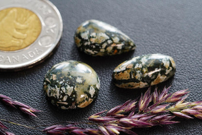 Dallasite Cabochons, Set of 3, from British Columbia, Canada