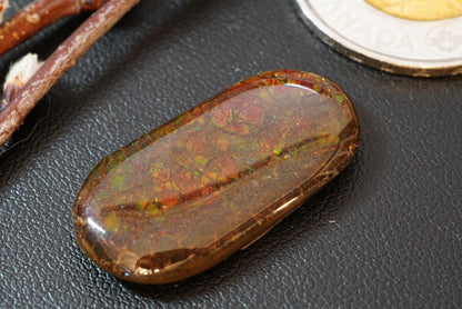 Ammolite Cabochon, 29 x 15 mm, Oval, from Alberta, Canada