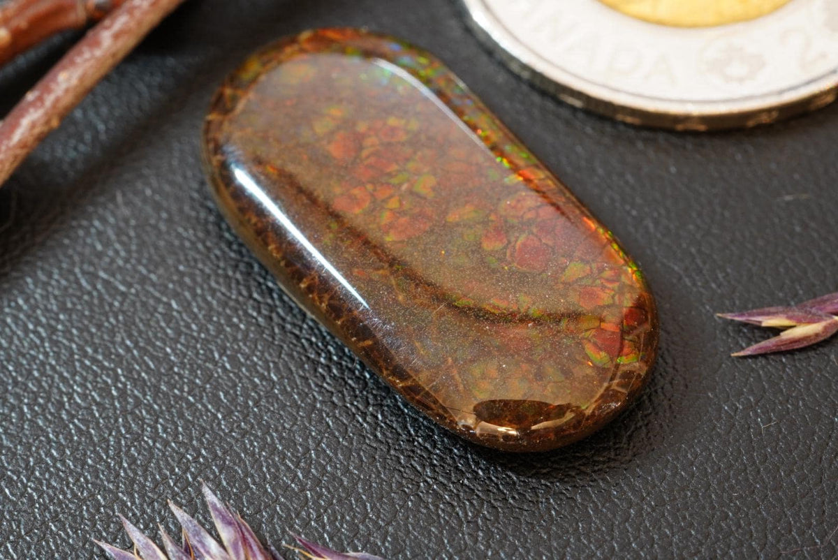 Ammolite Cabochon, 29 x 15 mm, Oval, from Alberta, Canada