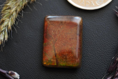 Ammolite Cabochon, 24 x 18 mm, Square, from Alberta, Canada