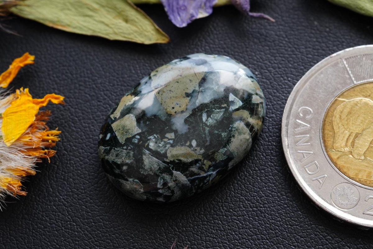 Dallasite Cabochon, 26 x 19 mm, Handmade Oval, from British Columbia, Canada
