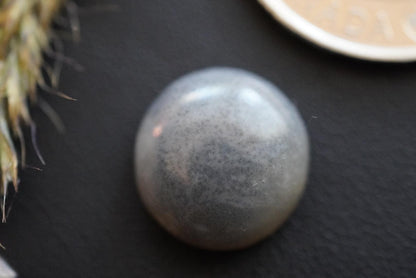 Moss Agate Cabochon, 15 x 6 mm, Handmade Round, from Saskatchewan, Canada