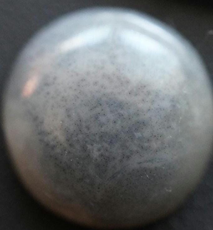 Moss Agate Cabochon, 15 x 6 mm, Handmade Round, from Saskatchewan, Canada