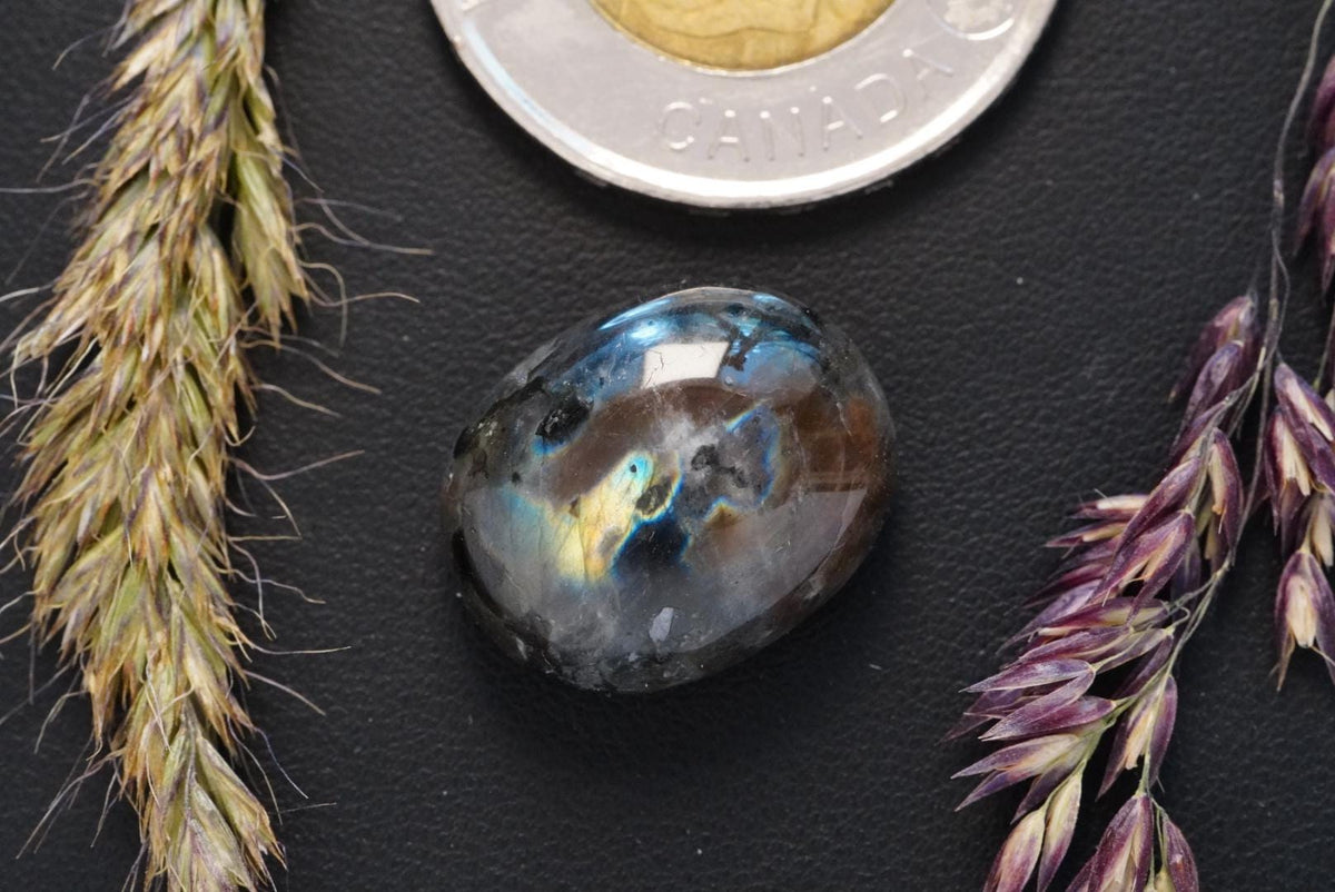 Labradorite Cabochon, 19 x 15 mm, Handmade Oval, from Newfoundland and Labrador, Canada