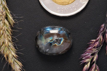 Labradorite Cabochon, 19 x 15 mm, Handmade Oval, from Newfoundland and Labrador, Canada