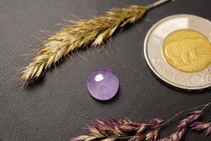 Amethyst Cabochon, 10 x 5 mm, Handmade Round, from Newfoundland and Labrador, Canada