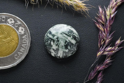 Flower Stone Cabochon, 17 x 6 mm, Handmade Round, from British Columbia, Canada