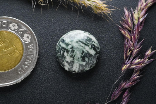 Cabochon en pierre fleurie, 17 x 6 mm, rond fait main, de Colombie-Britannique, Canada
