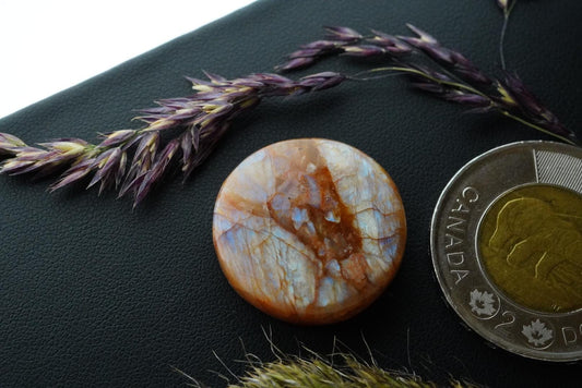 Cabochon de péristérite, 23 x 5 mm, rond fait main, provenant de l'Ontario, Canada