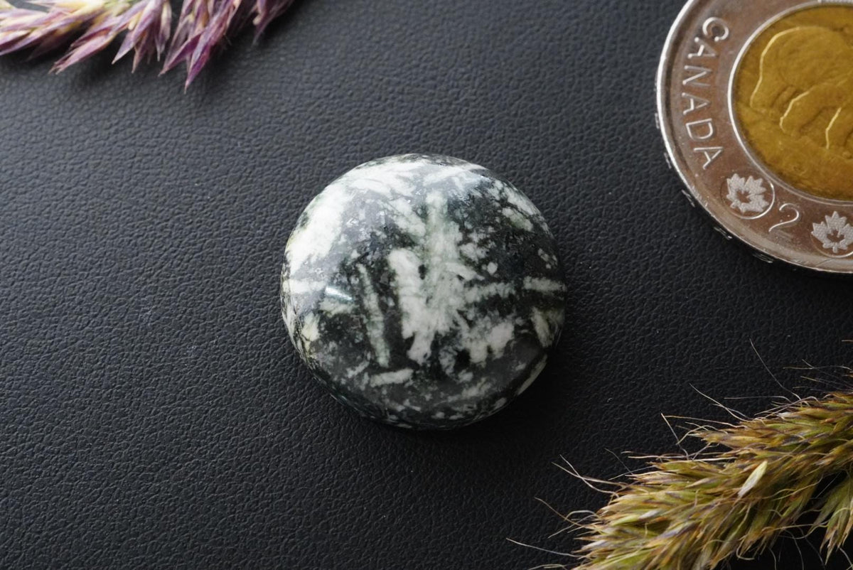 Flower Stone Cabochon, 21 x 7 mm, Handmade Round, from British Columbia, Canada