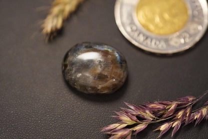 Labradorite Cabochon, 19 x 15 mm, Handmade Oval, from Newfoundland and Labrador, Canada