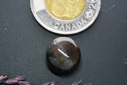 Labradorite Cabochon, 13 x 8 mm, Handmade Round, from Newfoundland and Labrador, Canada