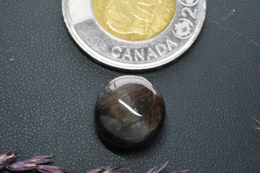 Cabochon de labradorite, 13 x 8 mm, rond fait main, provenant de Terre-Neuve-et-Labrador, Canada