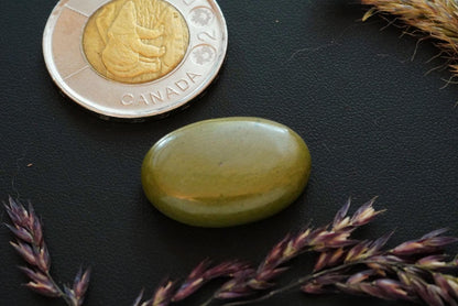 Epidosite Cabochon, 24 x 16 mm, Handmade Oval, from Saskatchewan, Canada