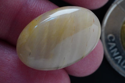 Petrified Wood Cabochon, 23 x 16 mm, Handmade Oval, from Saskatchewan, Canada