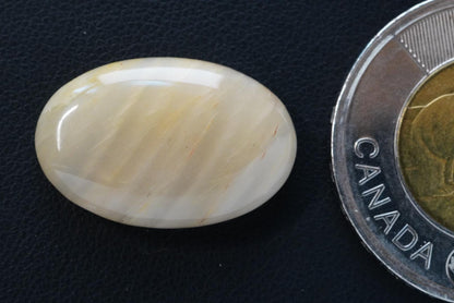 Petrified Wood Cabochon, 23 x 16 mm, Handmade Oval, from Saskatchewan, Canada