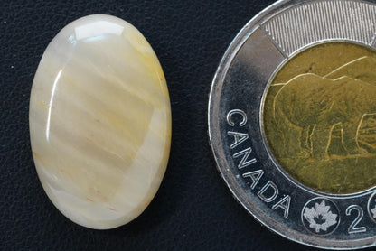 Petrified Wood Cabochon, 23 x 16 mm, Handmade Oval, from Saskatchewan, Canada