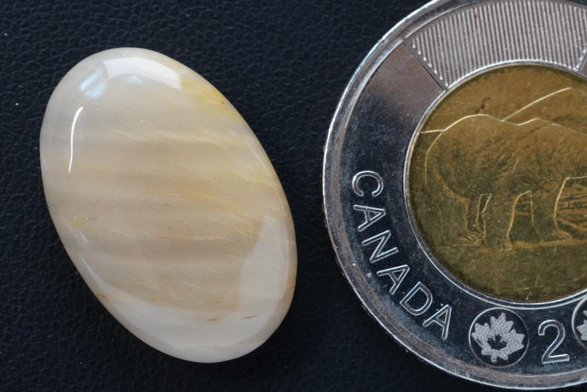 Petrified Wood Cabochon, 23 x 16 mm, Handmade Oval, from Saskatchewan, Canada