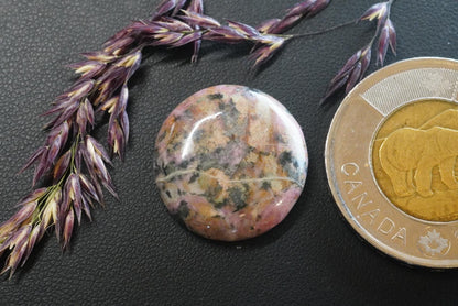 Rhodonite Cabochon, 20 x 5 mm, Handmade Round, from British Columbia, Canada