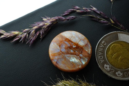 Peristerite Cabochon, 23 x 5 mm,  Handmade Round, from Ontario, Canada