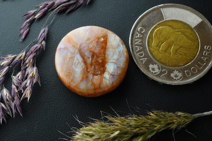 Peristerite Cabochon, 23 x 5 mm,  Handmade Round, from Ontario, Canada