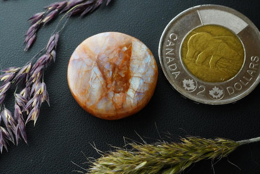 Cabochon de péristérite, 23 x 5 mm, rond fait main, provenant de l'Ontario, Canada
