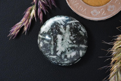 Flower Stone Cabochon, 21 x 7 mm, Handmade Round, from British Columbia, Canada